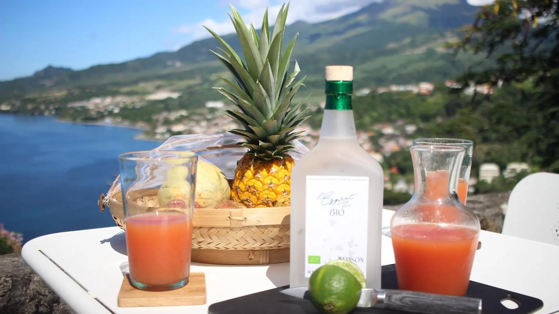 Villa Du Morne Dorange Saint-Pierre